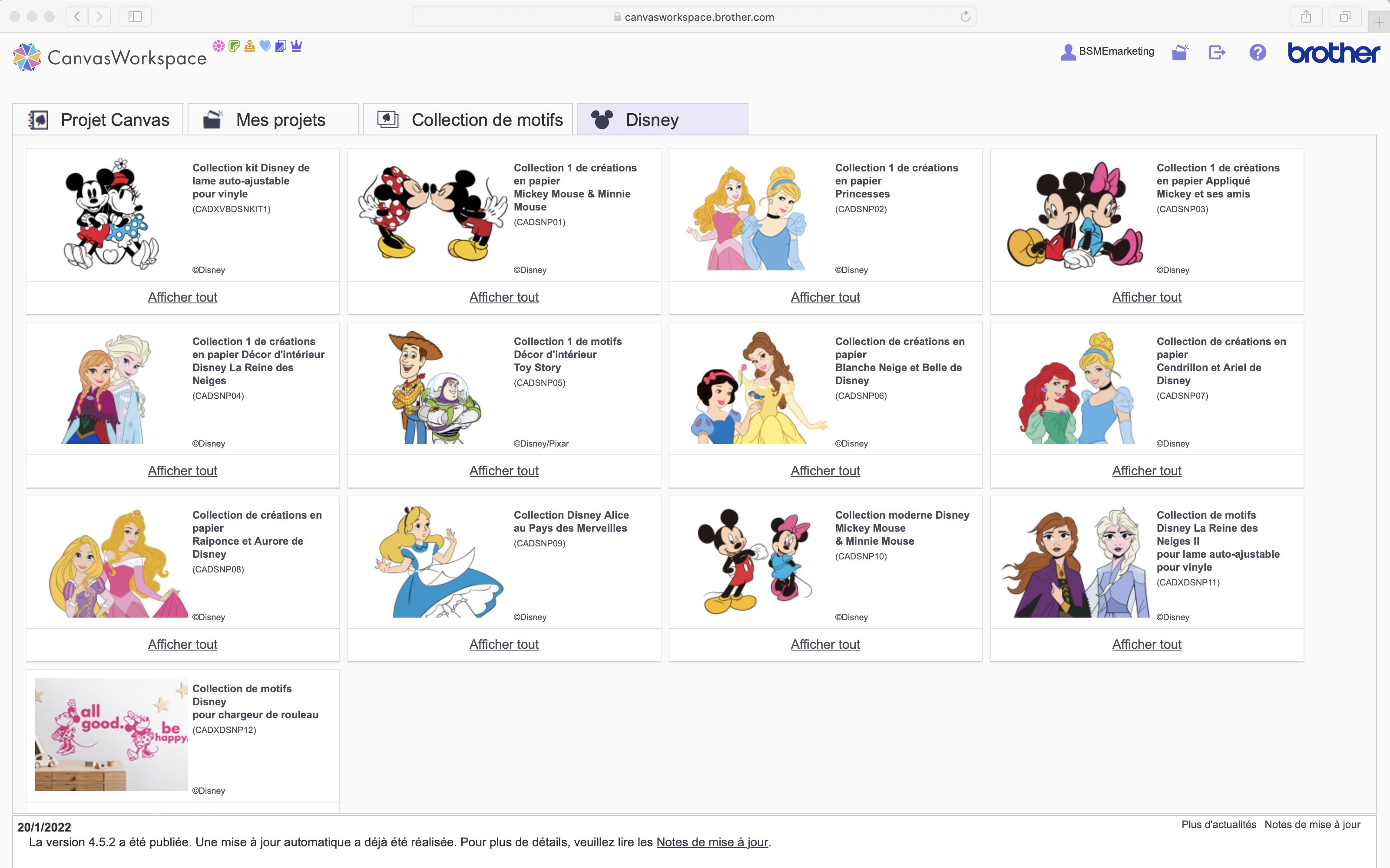 aperçu des cartes de visite Disney