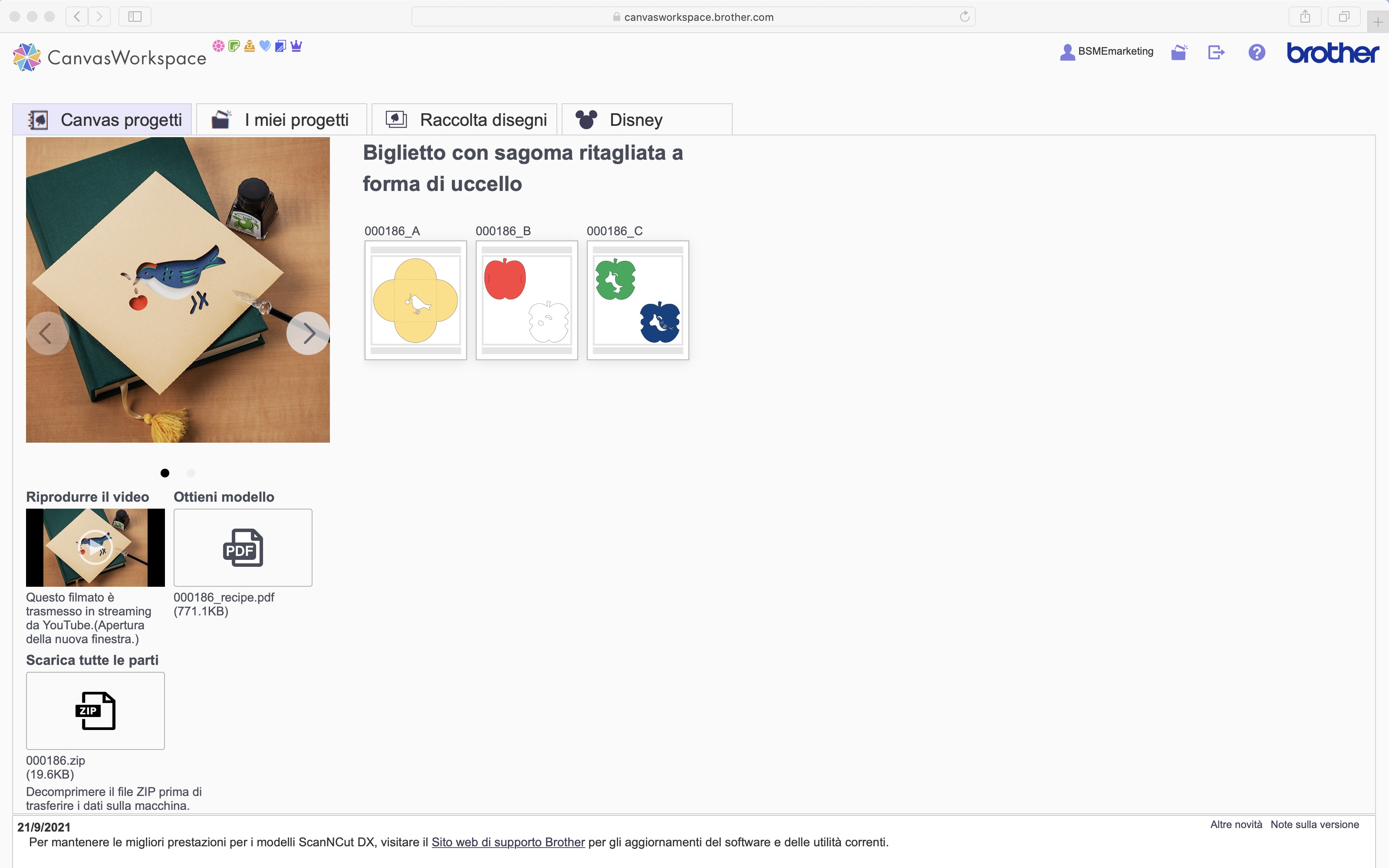 uccello verde su carta crema