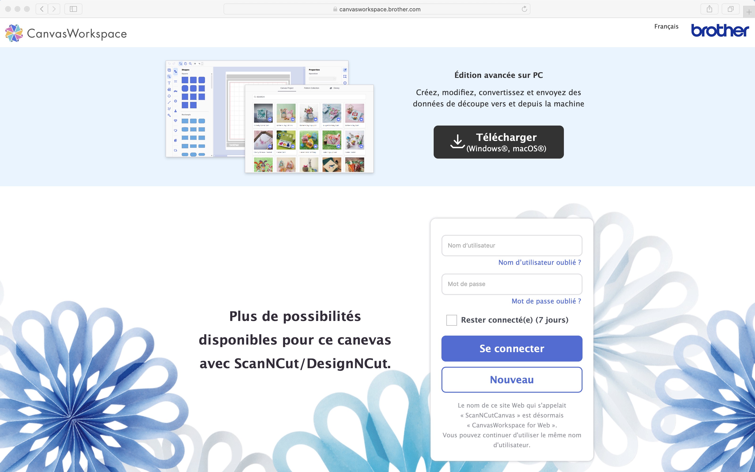 Canvas Workspace Connexion