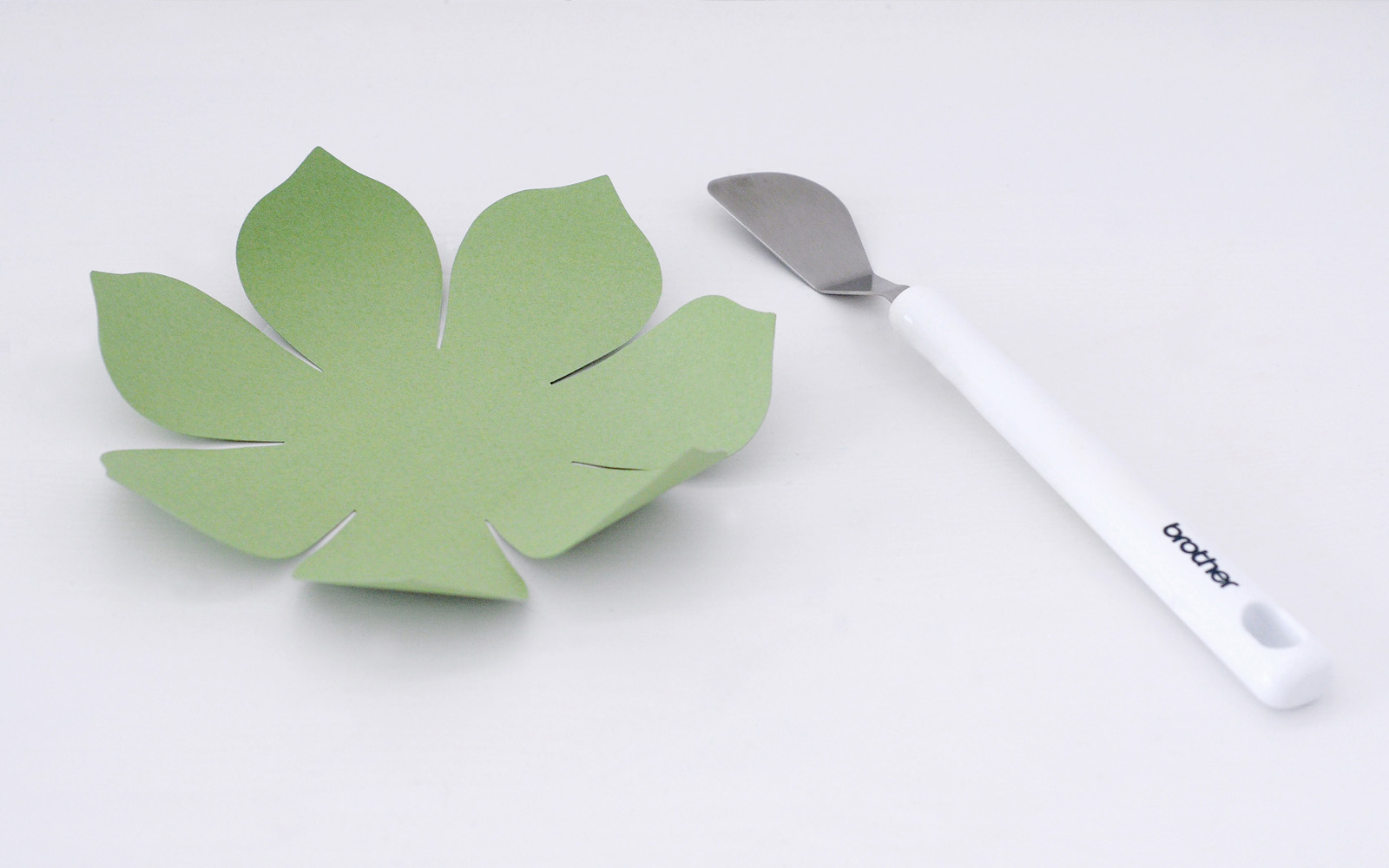 Paper succulent leaf and a spatula on white background