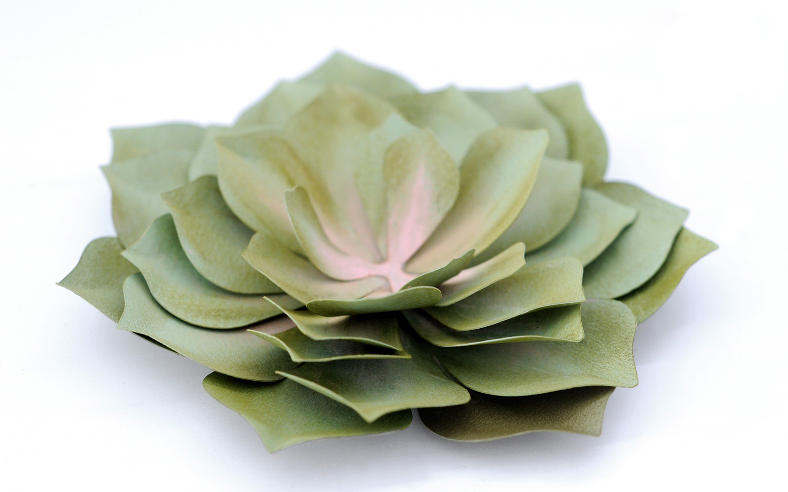 Finished paper succulent on white background