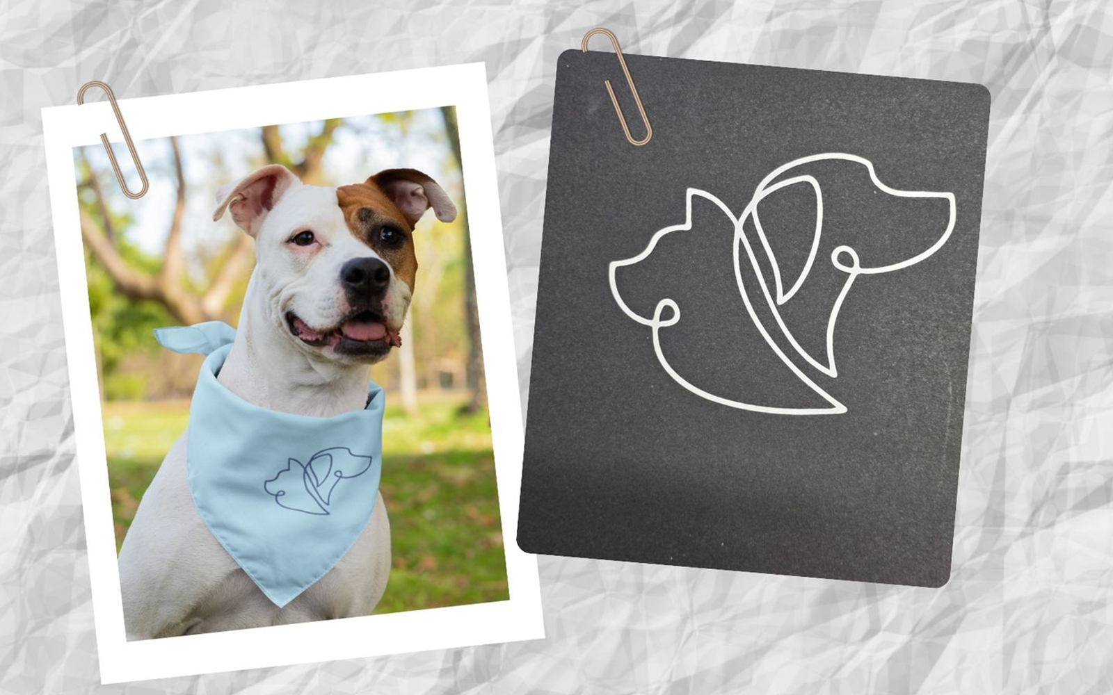 Sagoma lineare di cane e gatto su bandana blu e carta grigia