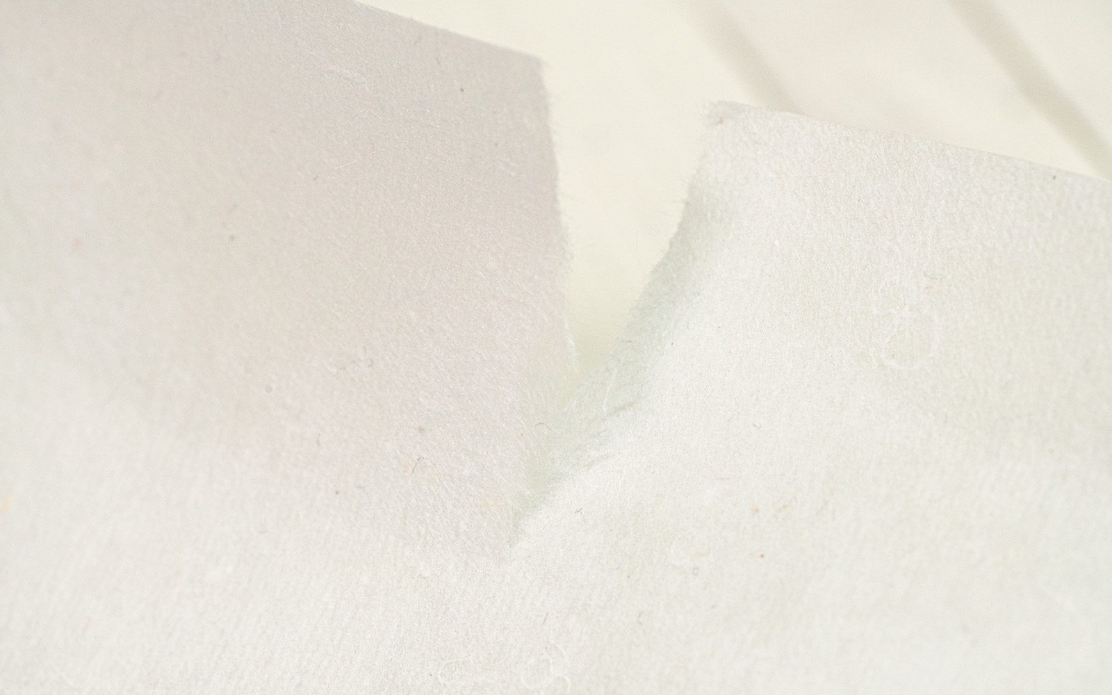 Torn piece of white stabiliser