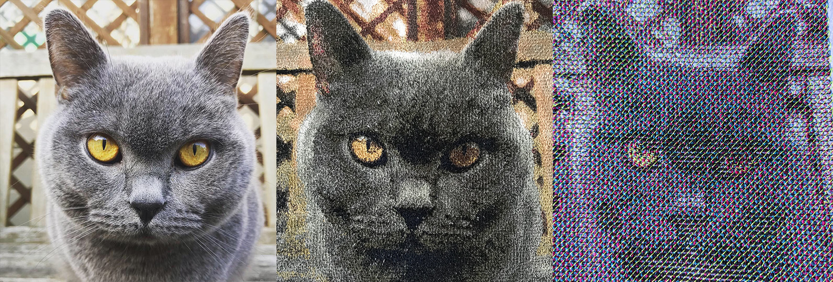 Foto di gatto grigio con versioni di ricamo create con Brother PE-Design 