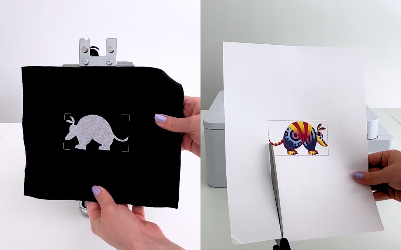 White armadillo embroidery and rainbow armadillo print