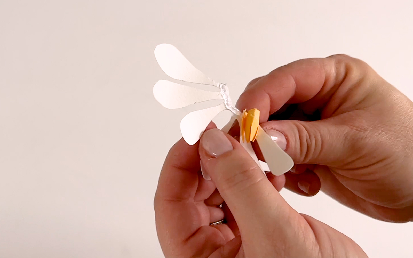 hand assembling a white papercraft crocus