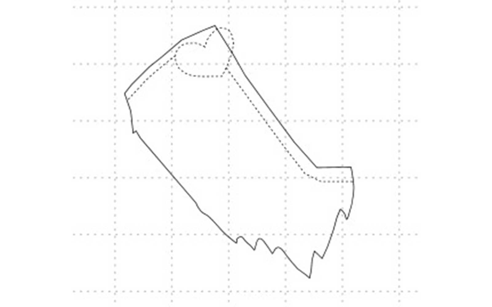 Diagram of beard trimming areas