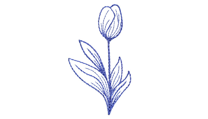 Linework tulip