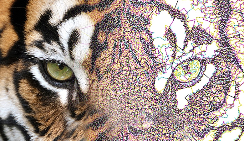 Esempio di digitalizzazione automatica in Brother BE EmbroideryStudio.