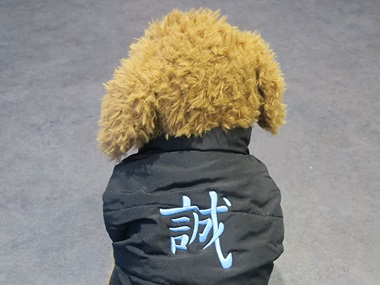 Schwarze Hunde-Jacke mit blauer Stickerei