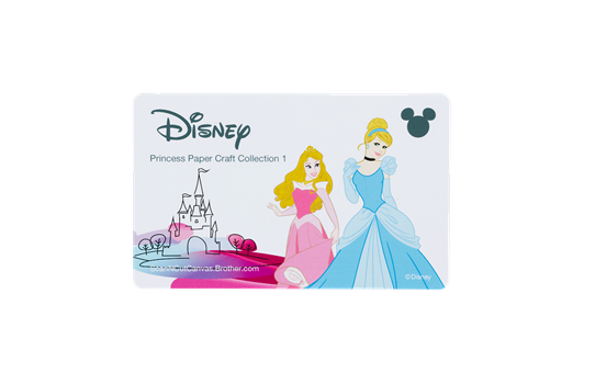 Disney Musterkollektion „Prinzessinnen“ für Papier CADSNP02