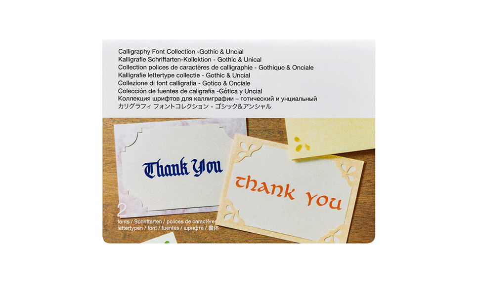 Collection Card di font calligrafici su sfondo bianco
