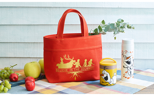 Collection de motifs Disney La Reine des Neiges II pour lame auto-ajustable pour vinyle CADXDSNP11 3