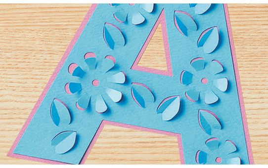 CAPPNP01 PigPong Collection de caractères 5