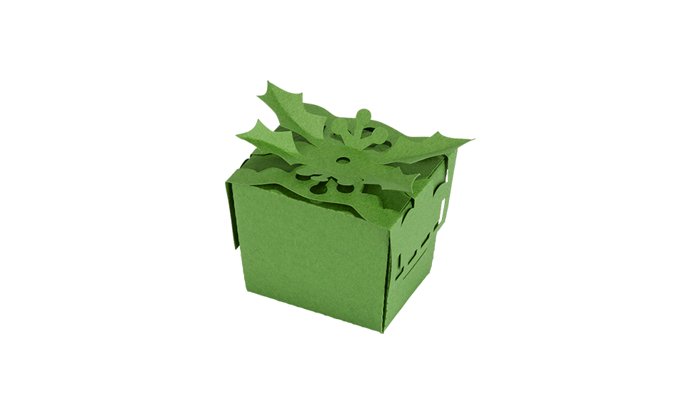 CAPPNP02 Box-Kollektion 5