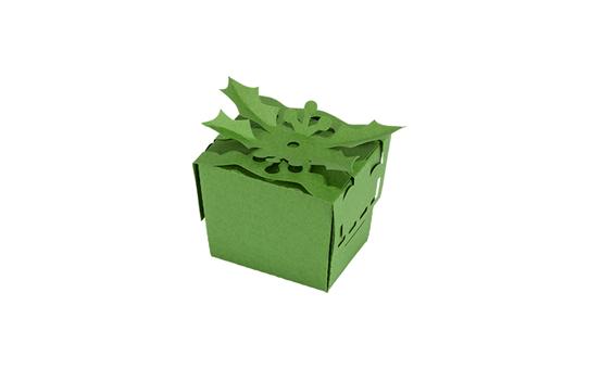 CAPPNP02 Box-Kollektion 5