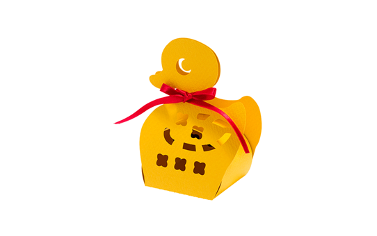 CAPPNP02 Box-Kollektion 6