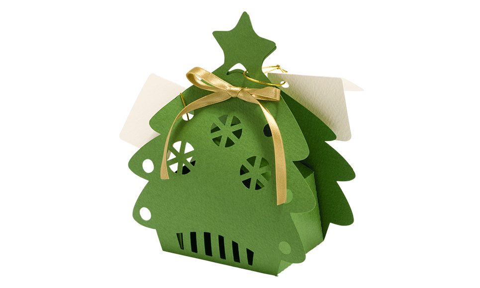 CAPPNP02 Box-Kollektion 9