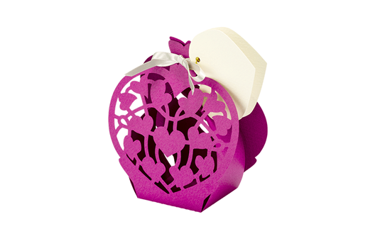 CAPPNP02 Box-Kollektion 12