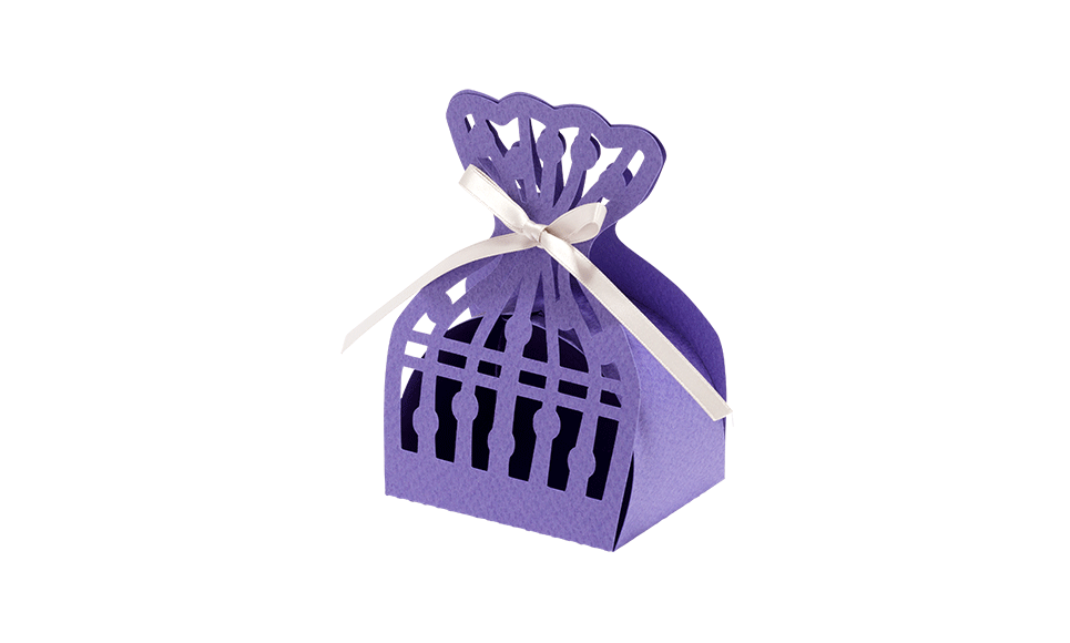 CAPPNP02 Box-Kollektion 19