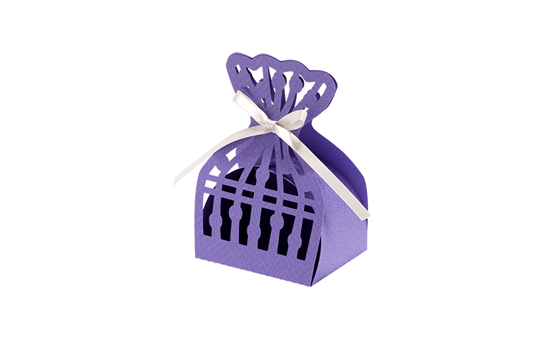 CAPPNP02 Box-Kollektion 19