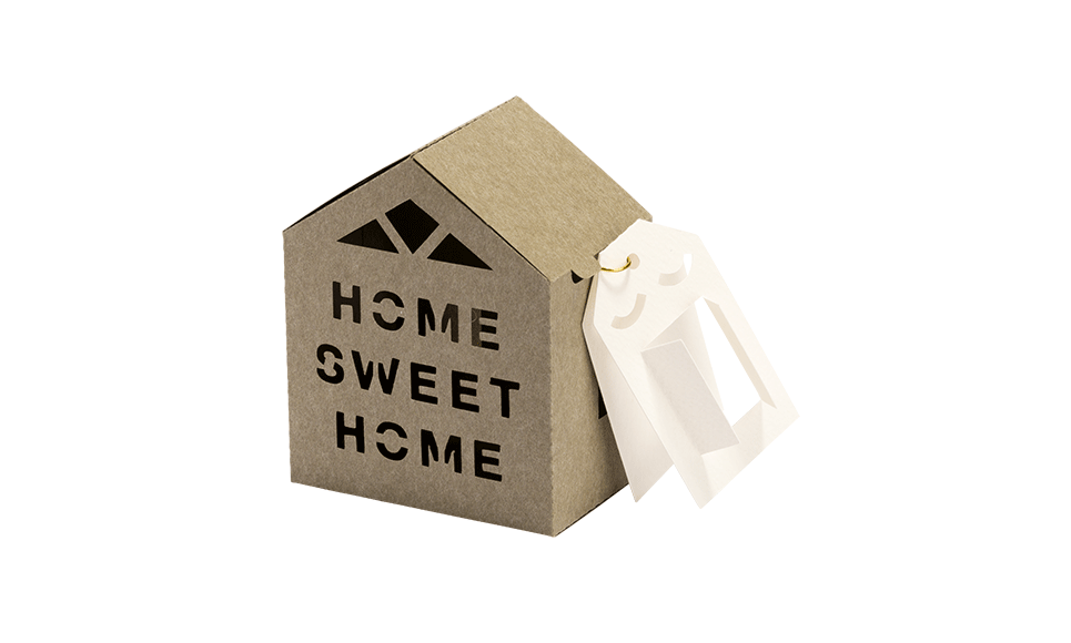 CAPPNP02 Box-Kollektion 23