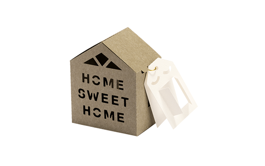 CAPPNP02 Box-Kollektion 23