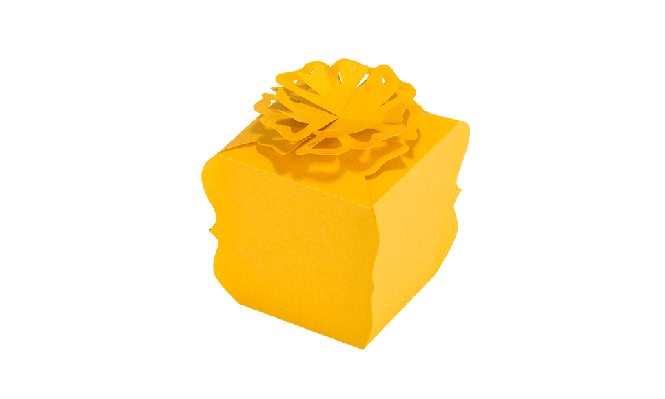 CAPPNP02 Box-Kollektion 24