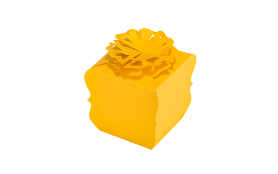 CAPPNP02 Box-Kollektion 24