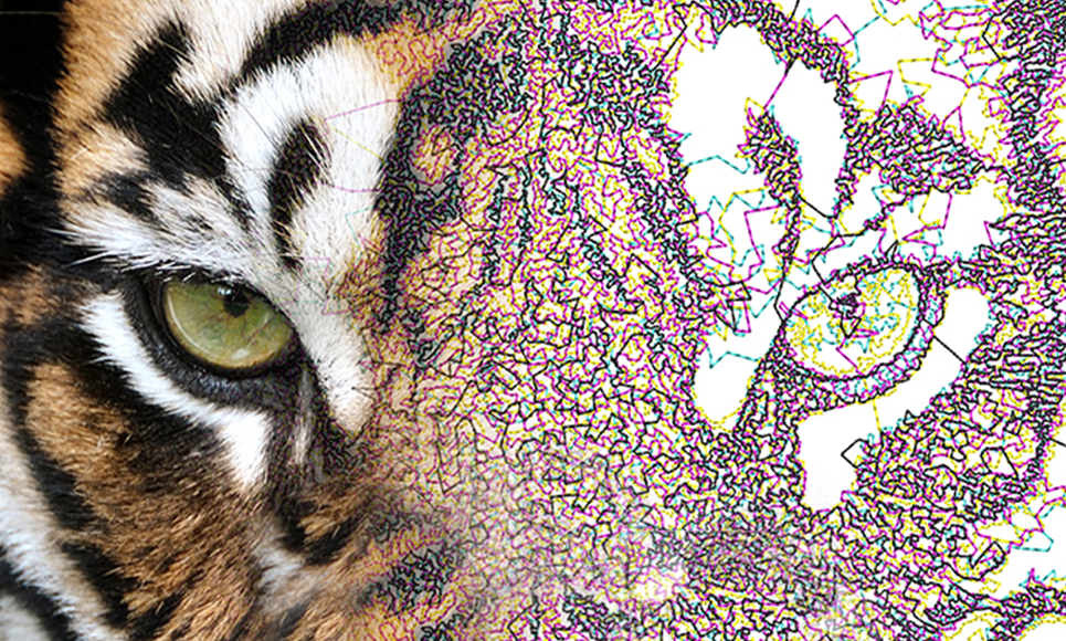 Brother BE EmbroideryStudio Software 6