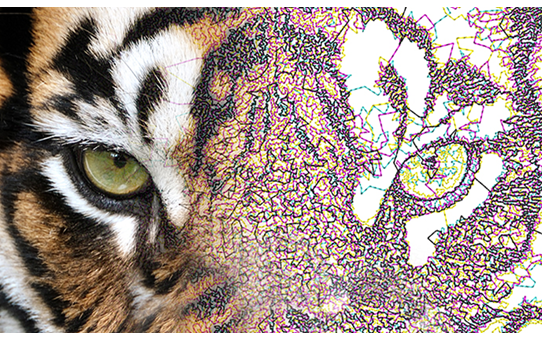 Brother BE EmbroideryStudio Software 6