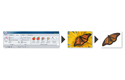 PE-Design 11 Stick-Software 5